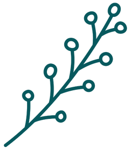 Camelina