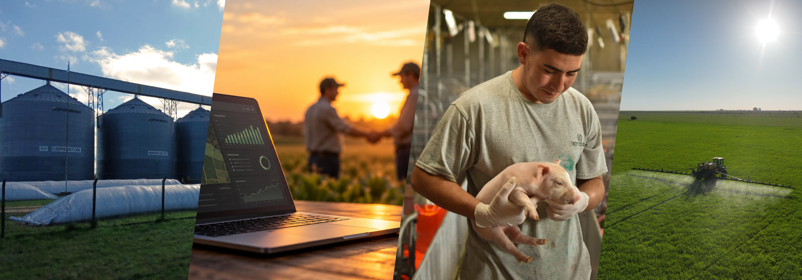 Campos de Agropecuaria Sur con 60.000 hectáreas productivas en Argentina